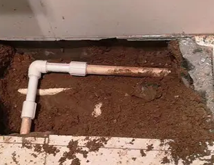 乐业测漏水哪家好