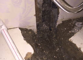 乐业卫生间测漏水哪家好