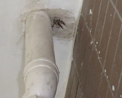 乐业漏水检测哪家好